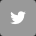 Twitter Twitter